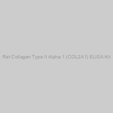 Image of Rat Collagen Type II Alpha 1 (COL2A1) ELISA Kit